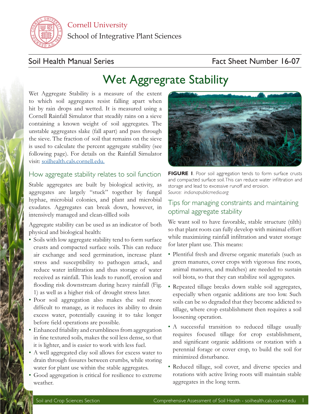 Wet Aggregrate Stability Wet Aggregate Stability Is a Measure of the Extent to Which Soil Aggregates Resist Falling Apart When Hit by Rain Drops and Wetted