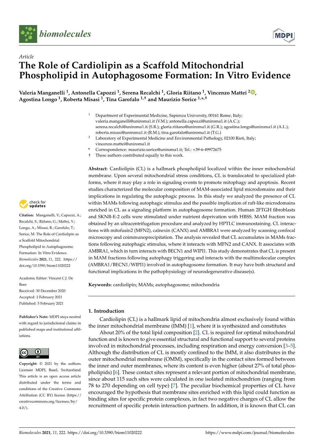 The Role of Cardiolipin As a Scaffold Mitochondrial Phospholipid in Autophagosome Formation: in Vitro Evidence