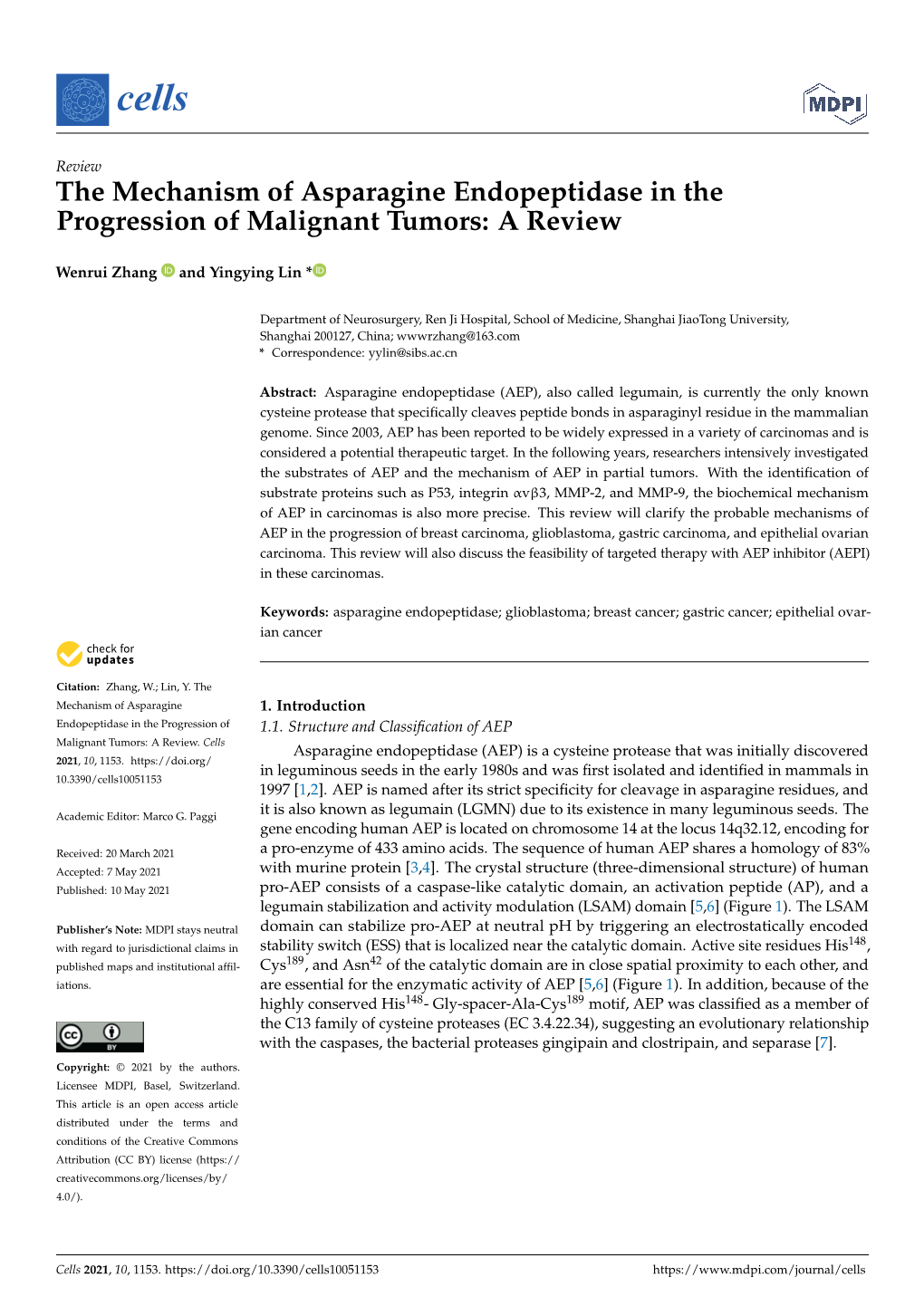 The Mechanism of Asparagine Endopeptidase in the Progression of Malignant Tumors: a Review