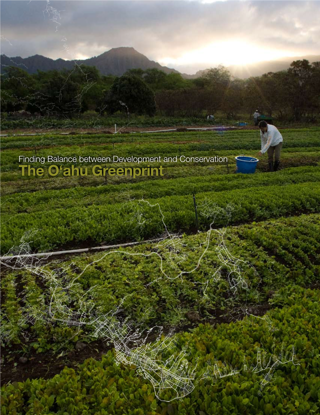 The O'ahu Greenprint