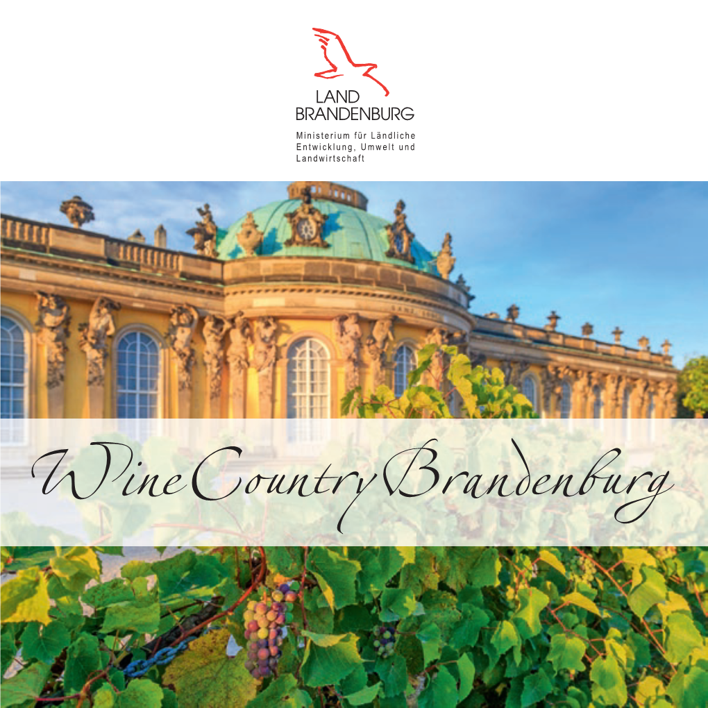 Wine Countrybrandenburg