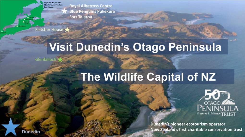 The Wildlife Capital of NZ Visit Dunedin's Otago Peninsula