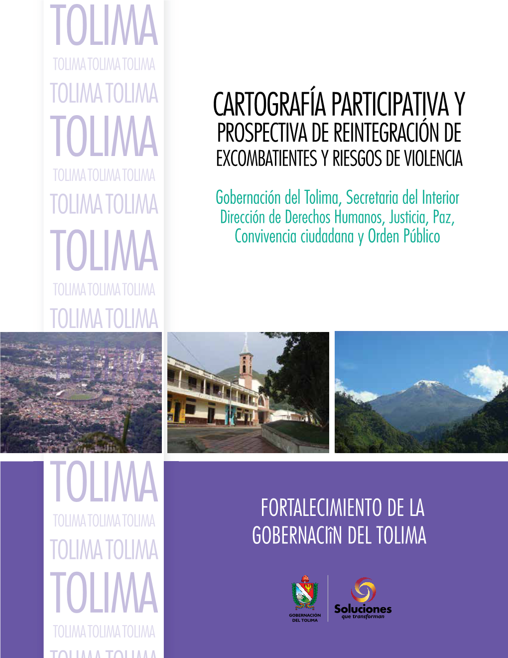 Fortalecimiento De La Gobernaciîn Del Tolima