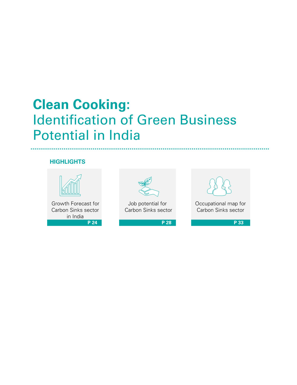 Clean Cooking: Identification of Green Business Potential in India