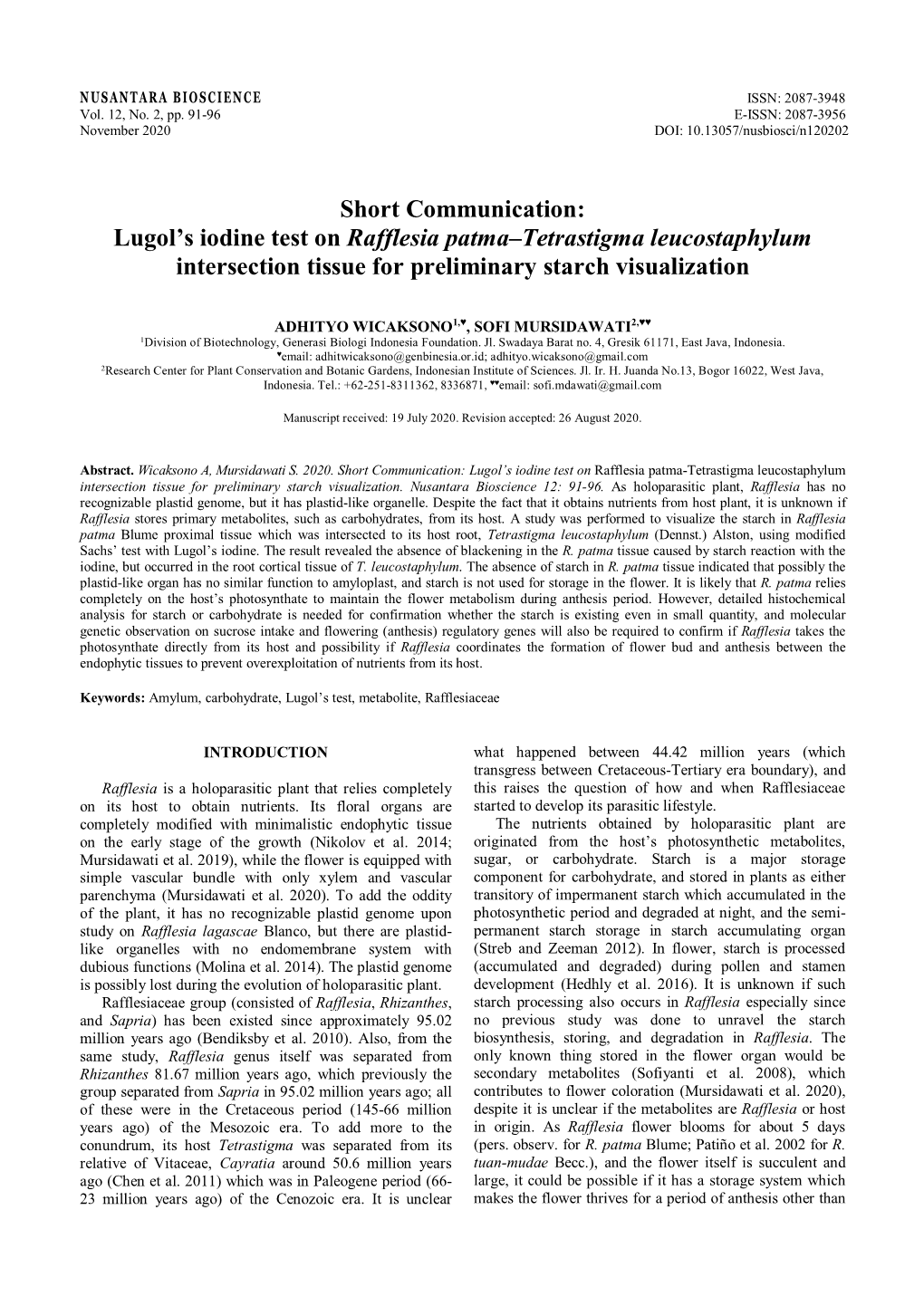 Lugol's Iodine Test on Rafflesia Patma–Tetrastigma Leucostaphylum