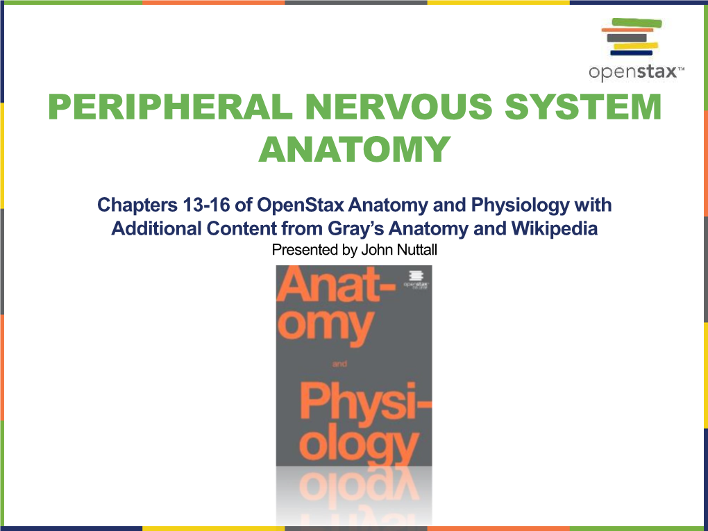 Peripheral Nervous System Anatomy