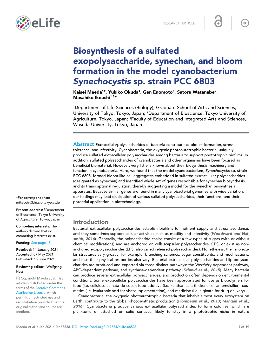 Biosynthesis of a Sulfated Exopolysaccharide, Synechan, and Bloom Formation in the Model Cyanobacterium Synechocystis Sp. Strain