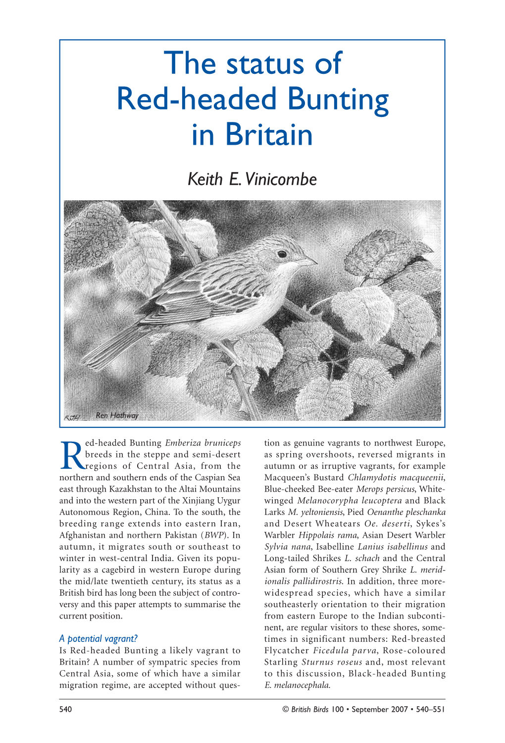 The Status of Red-Headed Bunting in Britain Keith E