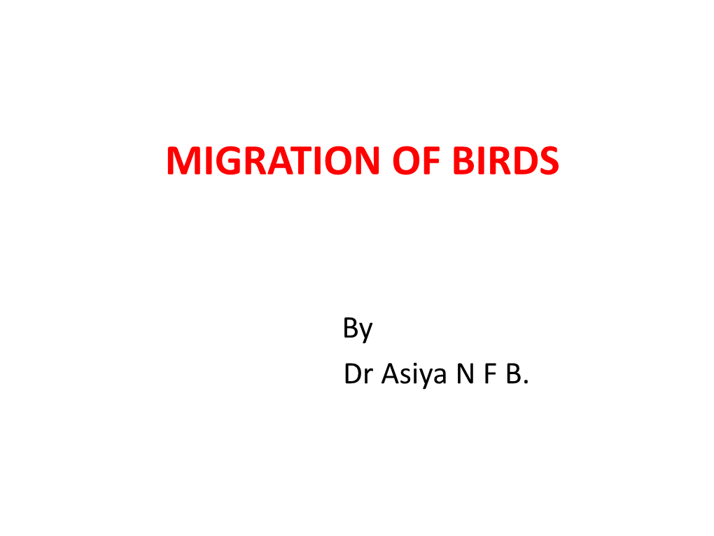 Bird Migration