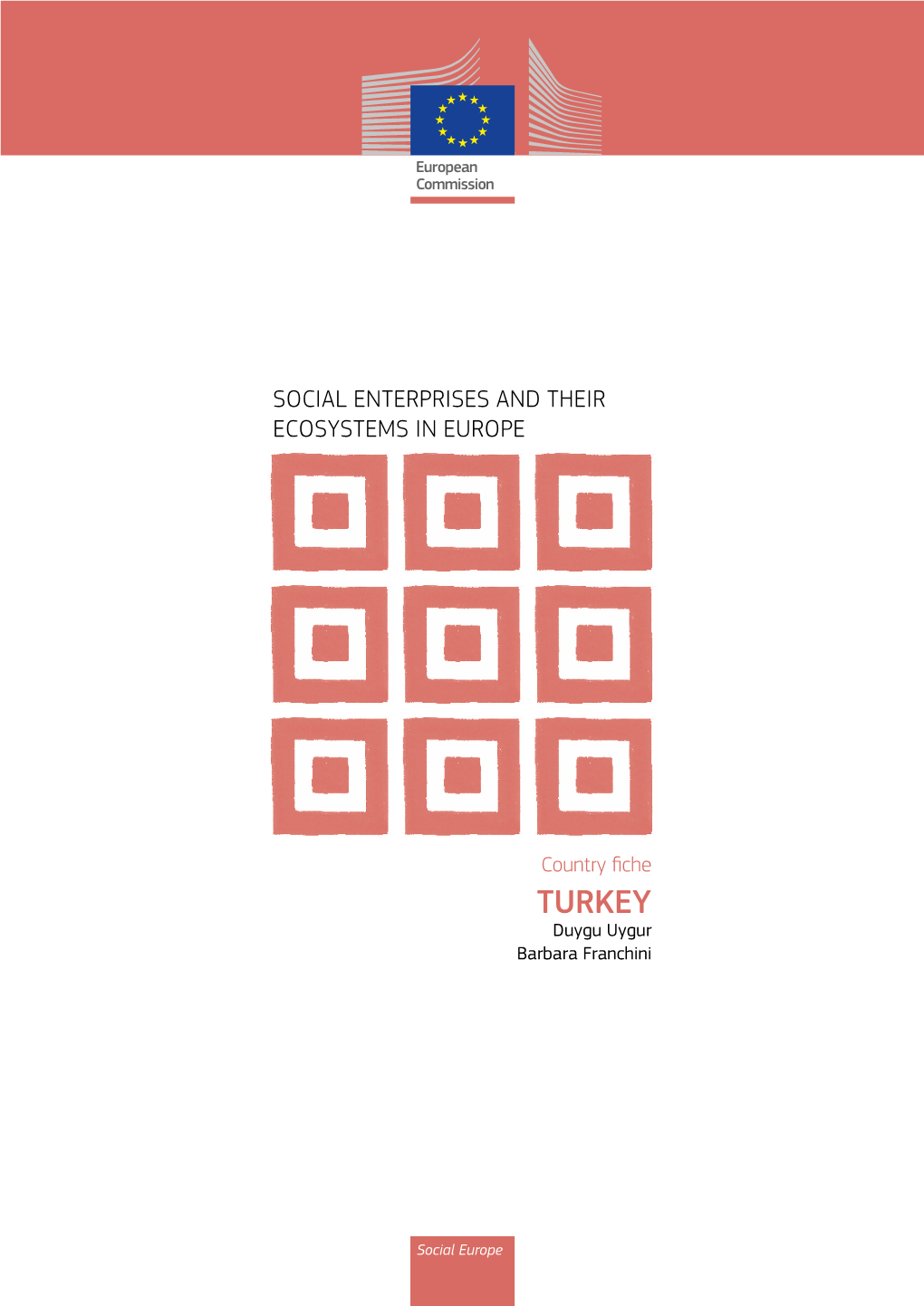 Social Enterprises and Their Ecosystems in Europe. Country Fiche: Turkey