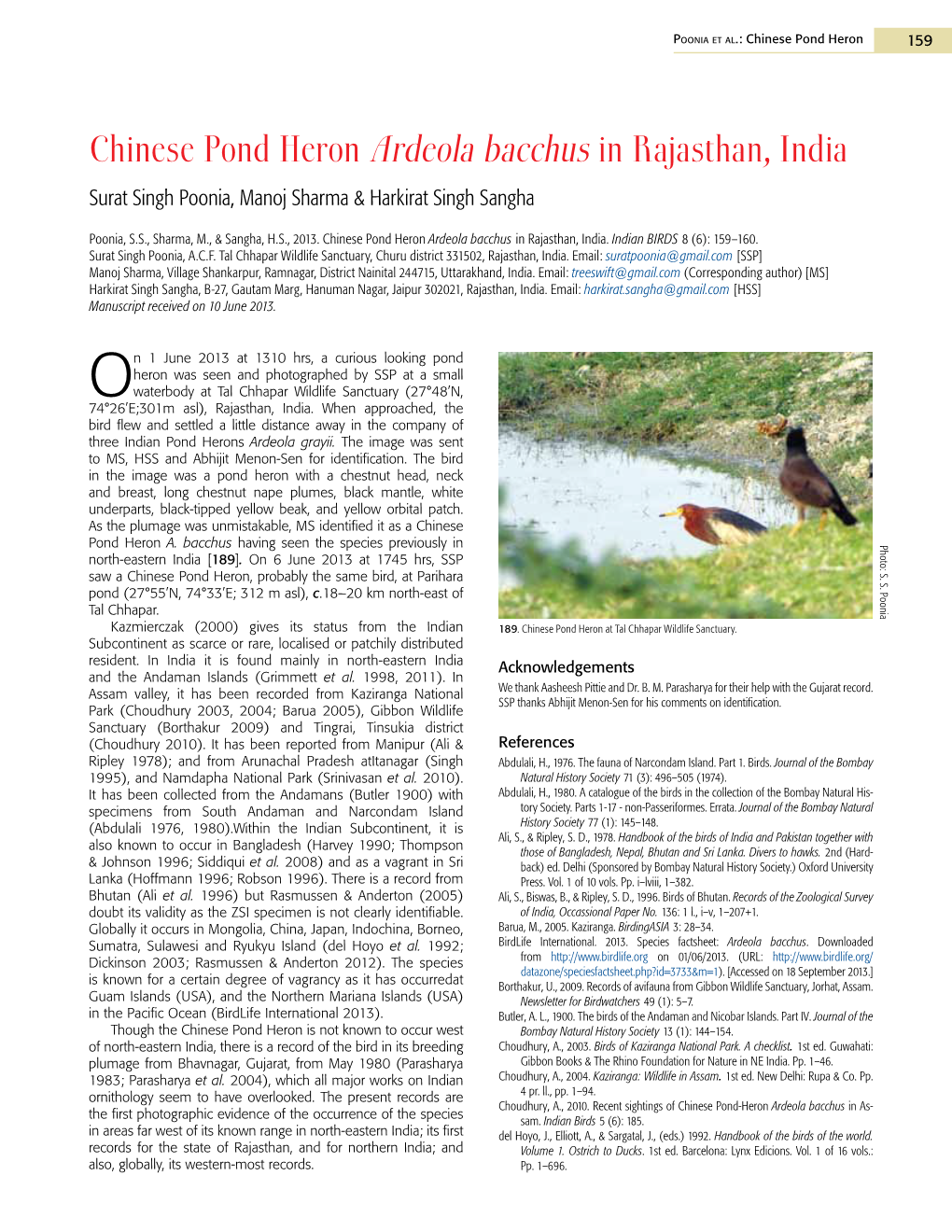 Chinese Pond Heron Ardeola Bacchus in Rajasthan, India Surat Singh Poonia, Manoj Sharma & Harkirat Singh Sangha