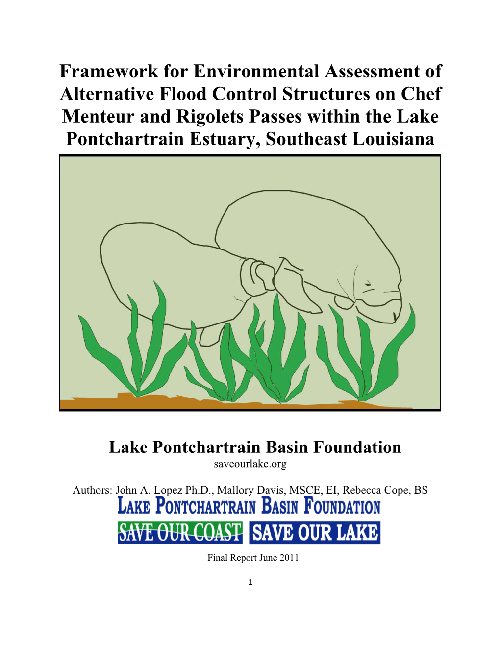 Framework for Environmental Assessment of Alternative Flood