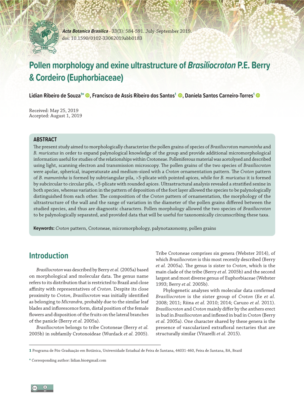 Pollen Morphology and Exine Ultrastructure of Brasiliocrotonp.E