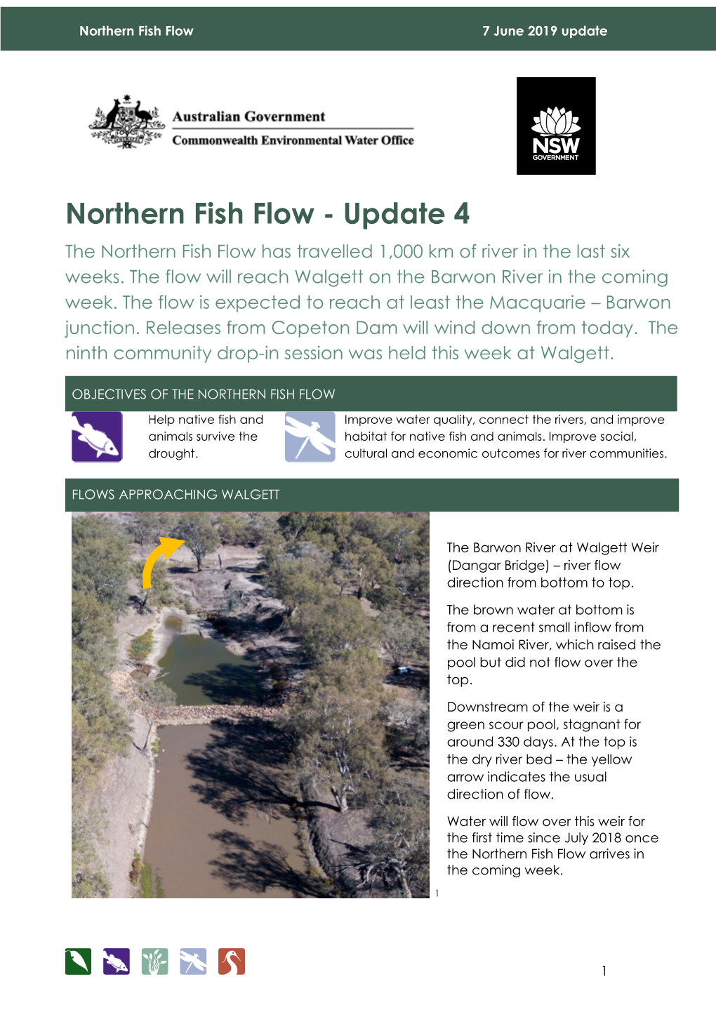 Northern Fish Flow 7 June 2019 Update