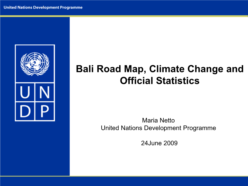 Bali Road Map, Climate Change and Official Statistics Presentation