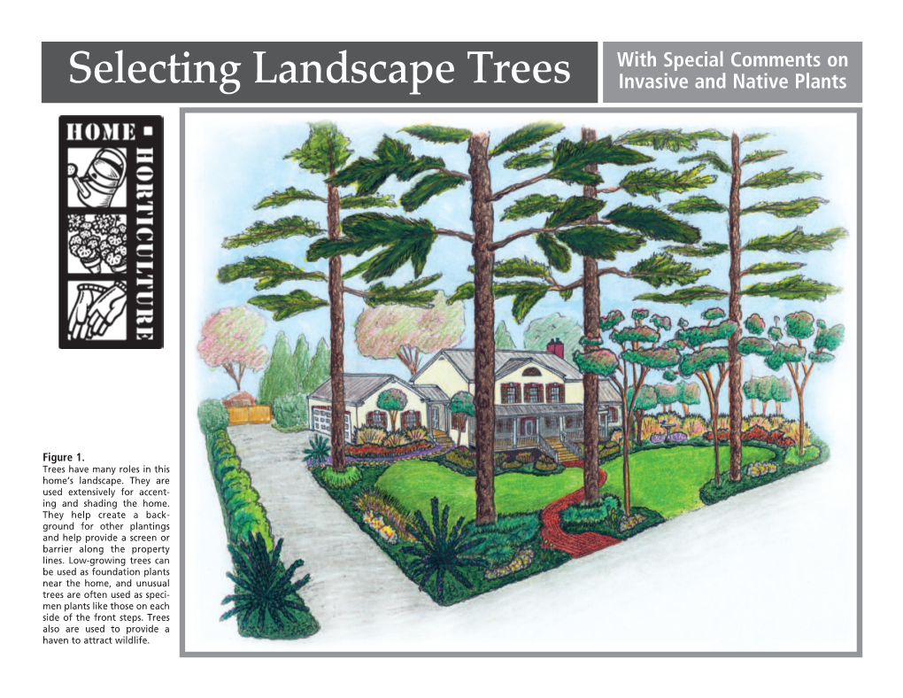 Selecting Landscape Trees with Special Comments On