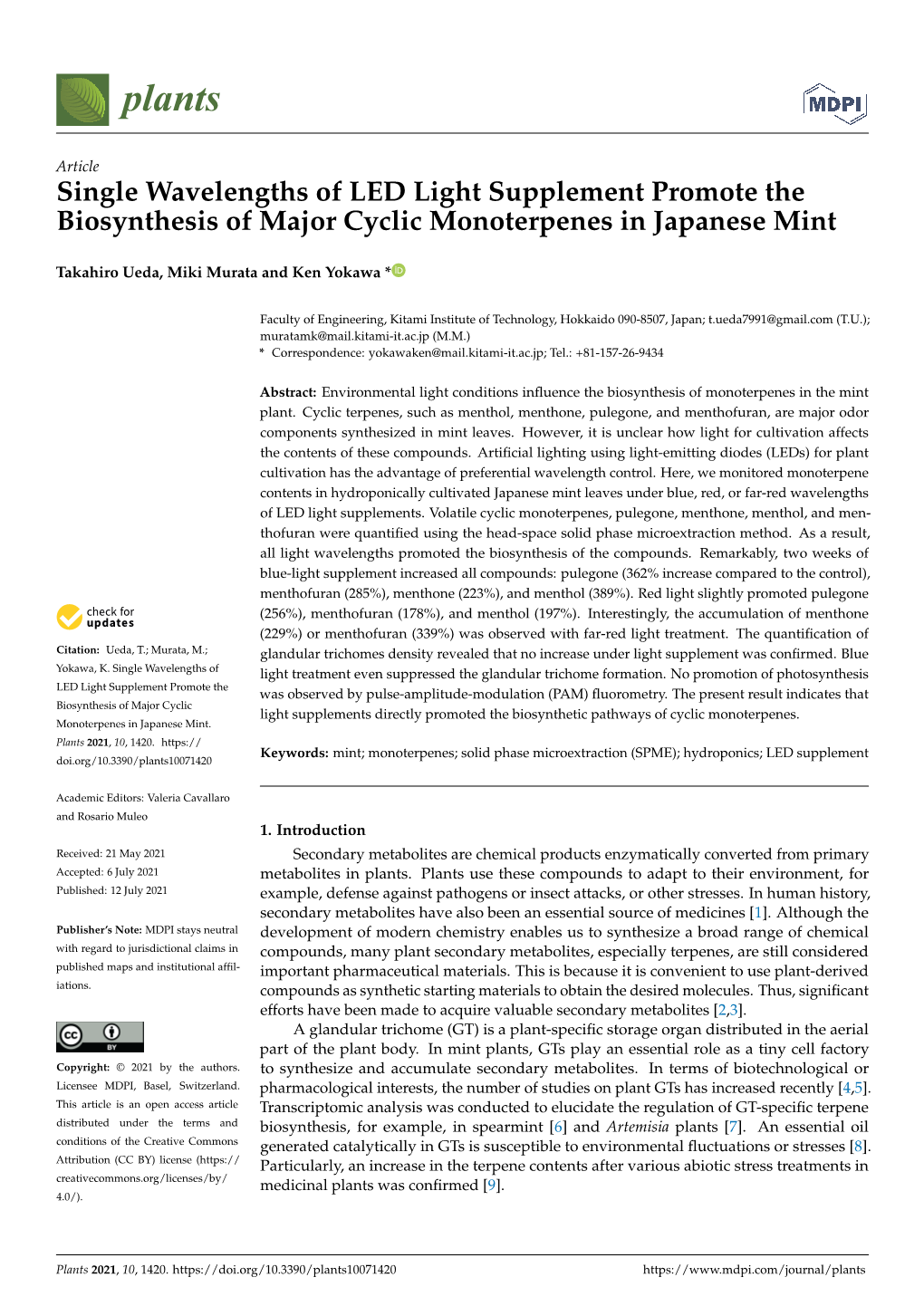 Single Wavelengths of LED Light Supplement Promote the Biosynthesis of Major Cyclic Monoterpenes in Japanese Mint
