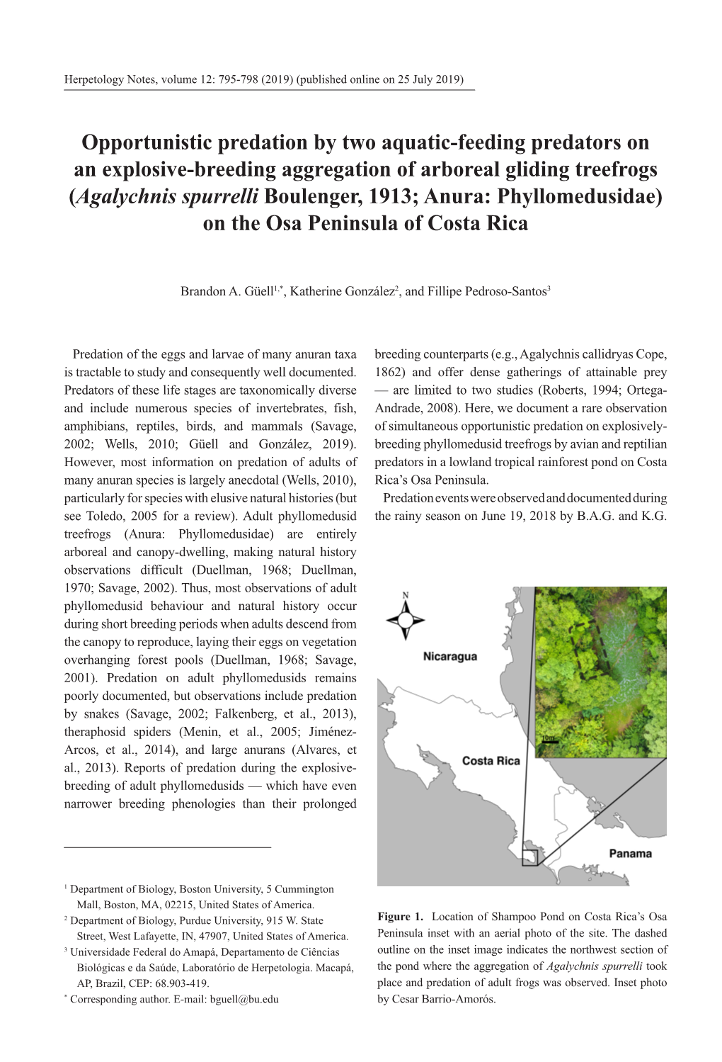 Opportunistic Predation by Two Aquatic-Feeding Predators on an Explosive