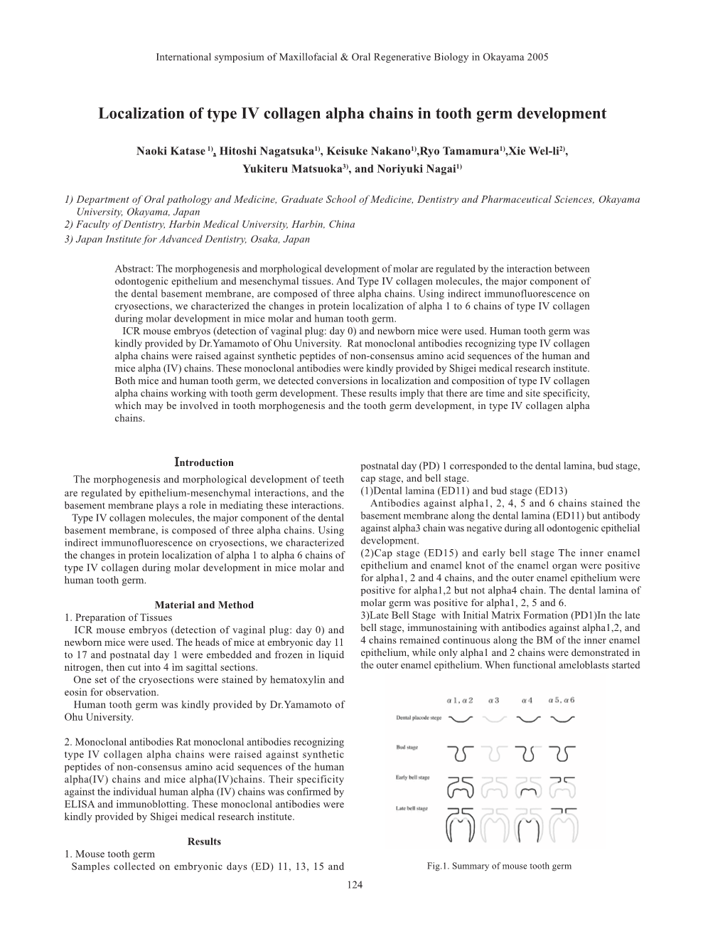 Localization of Type IV Collagen Alpha Chains in Tooth Germ Development