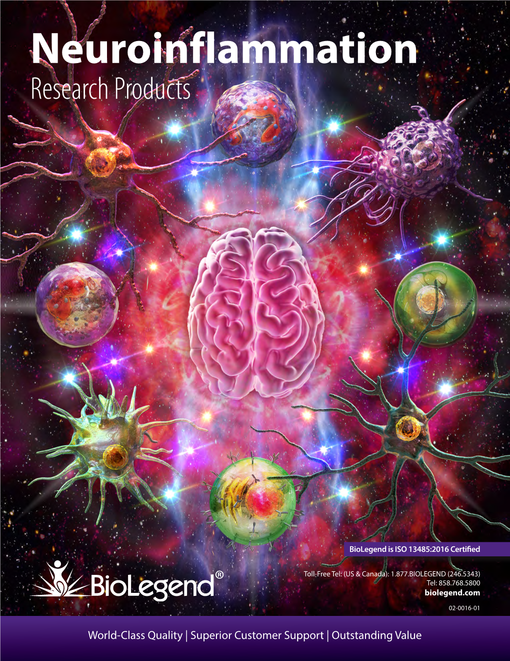 Neuroinflammation Research Products