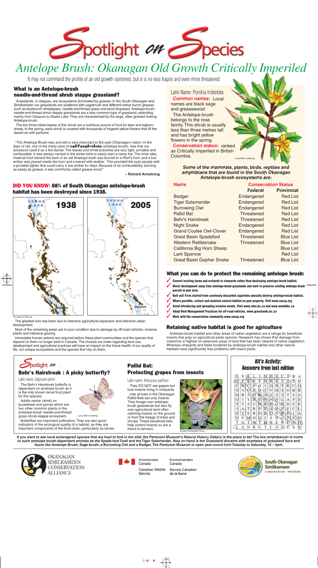 Antelope Brush: Okanagan Old Growth Critically Imperiled