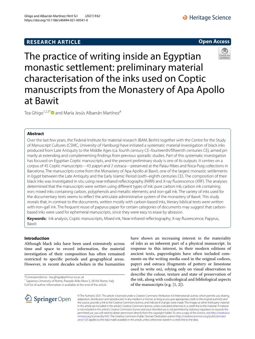 Preliminary Material Characterisation of the Inks Used on Coptic