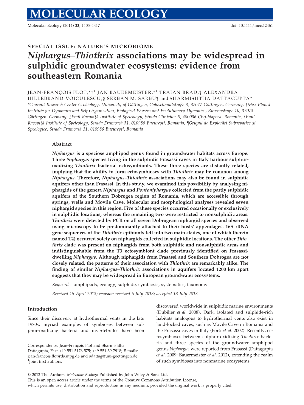 Niphargusthiothrix Associations May Be Widespread in Sulphidic Groundwater Ecosystems: Evidence from Southeastern Romania