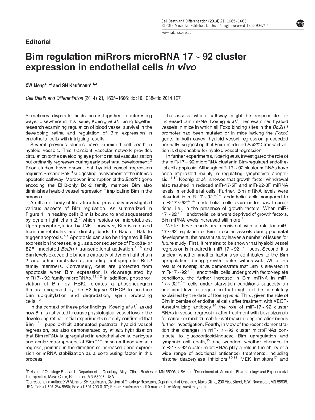 Bim Regulation Mirrors Microrna 17&Sim