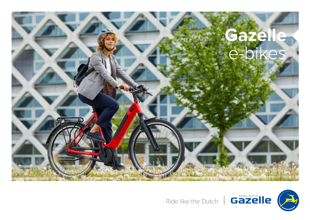Gazelle E-Bikes Royal Dutch Gazelle