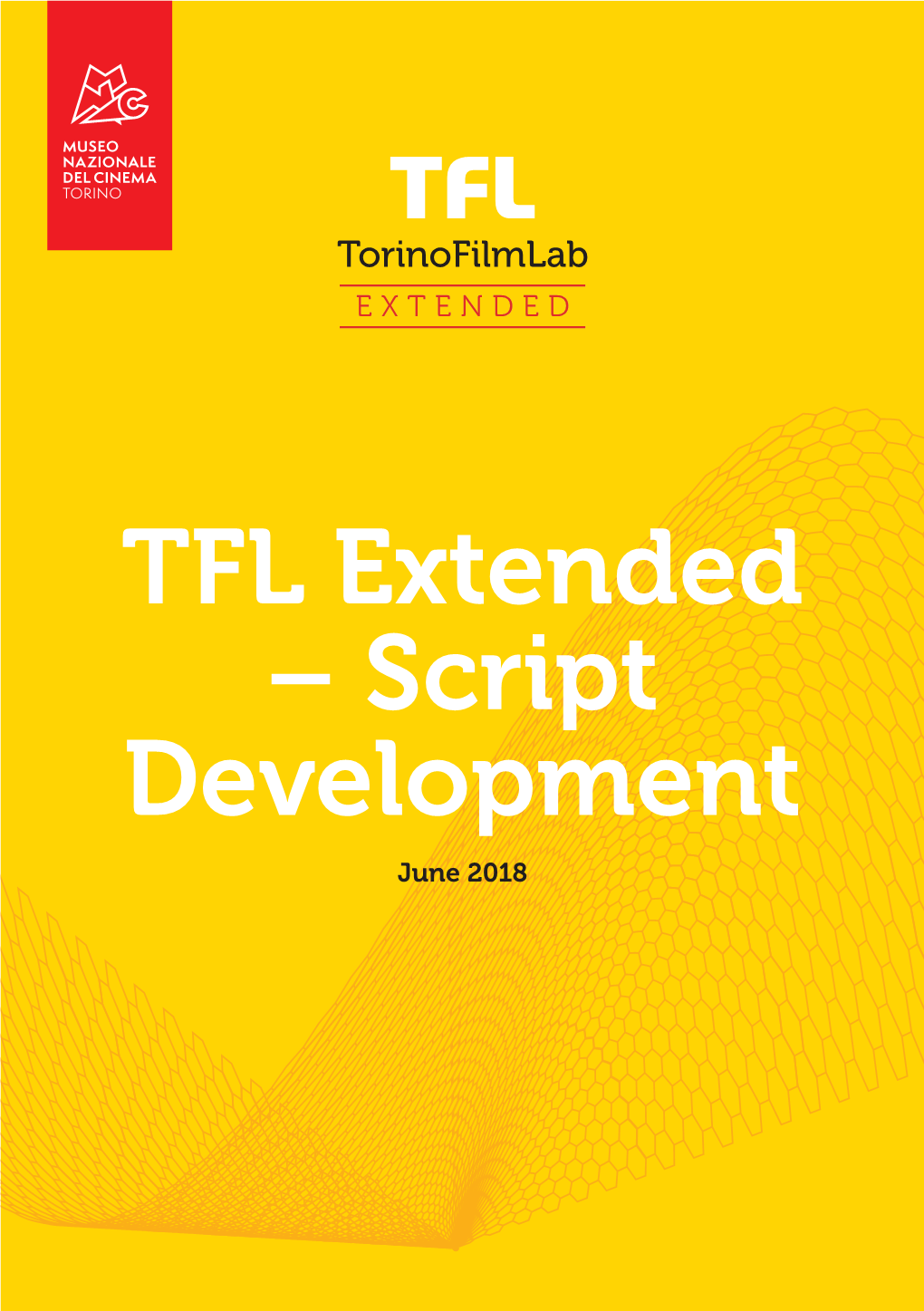 TFL Extended – Script Development June 2018 12 Days and Nights P