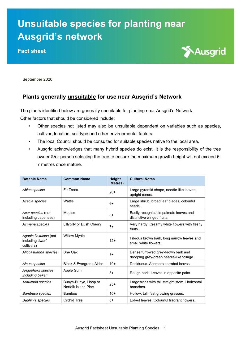 Unsuitable Species for Planting Near Ausgrid's Network