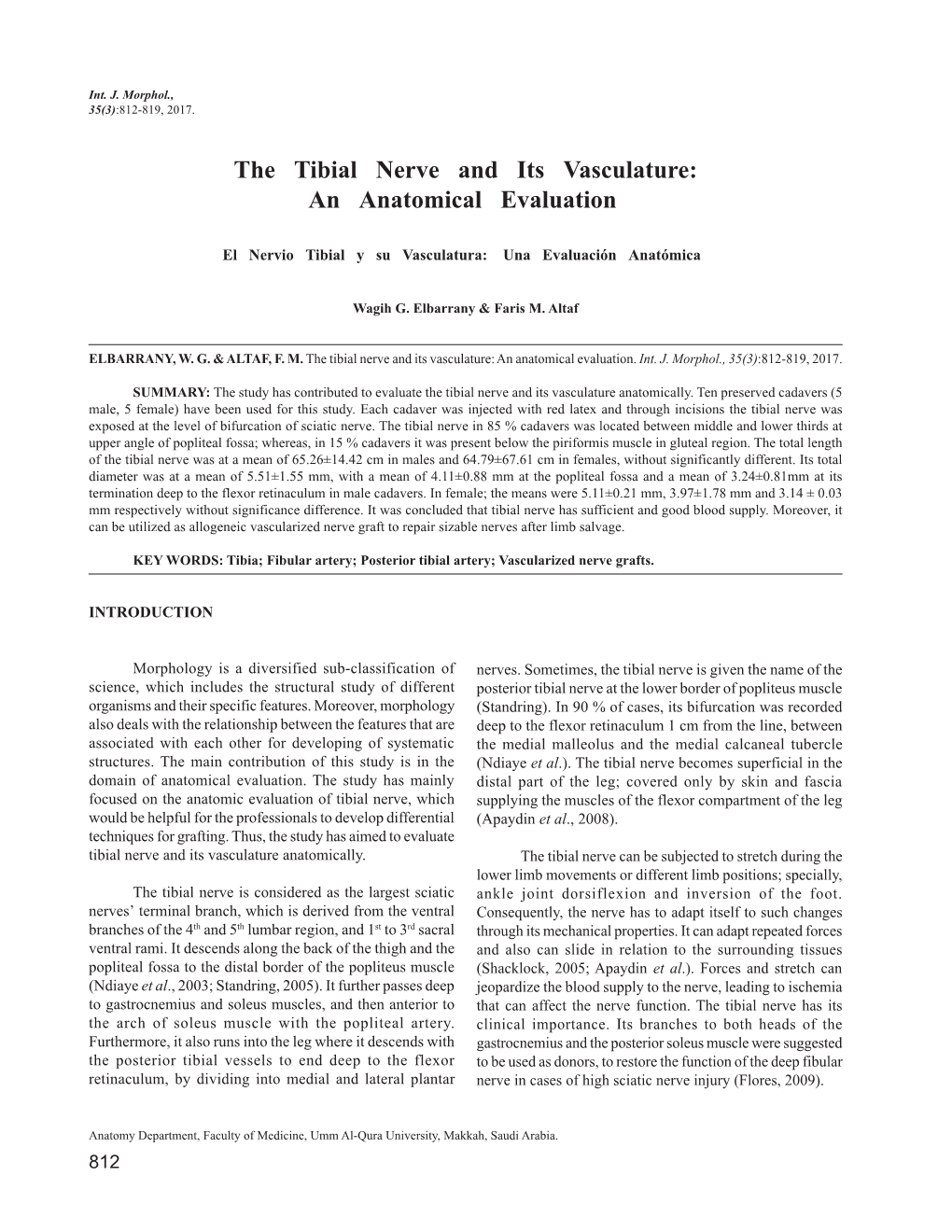 The Tibial Nerve and Its Vasculature: an Anatomical Evaluation