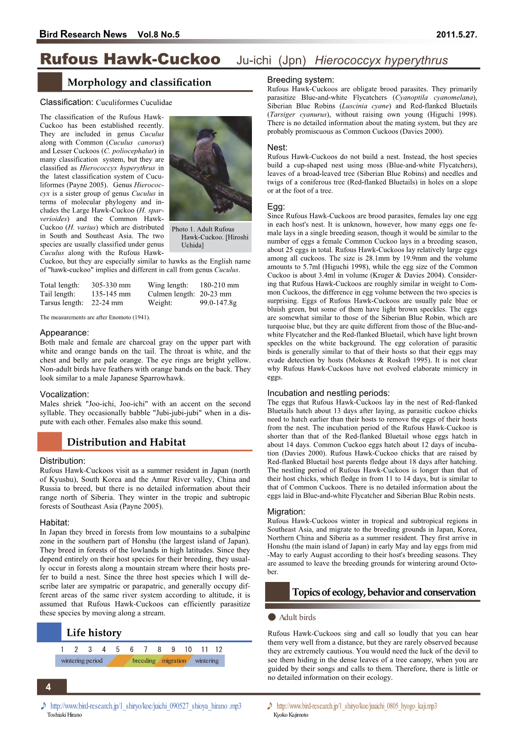 Rufous Hawk-Cuckoo Ju-Ichi (Jpn) Hierococcyx Hyperythrus Morphology and Classiﬁcation Breeding System: Rufous Hawk-Cuckoos Are Obligate Brood Parasites