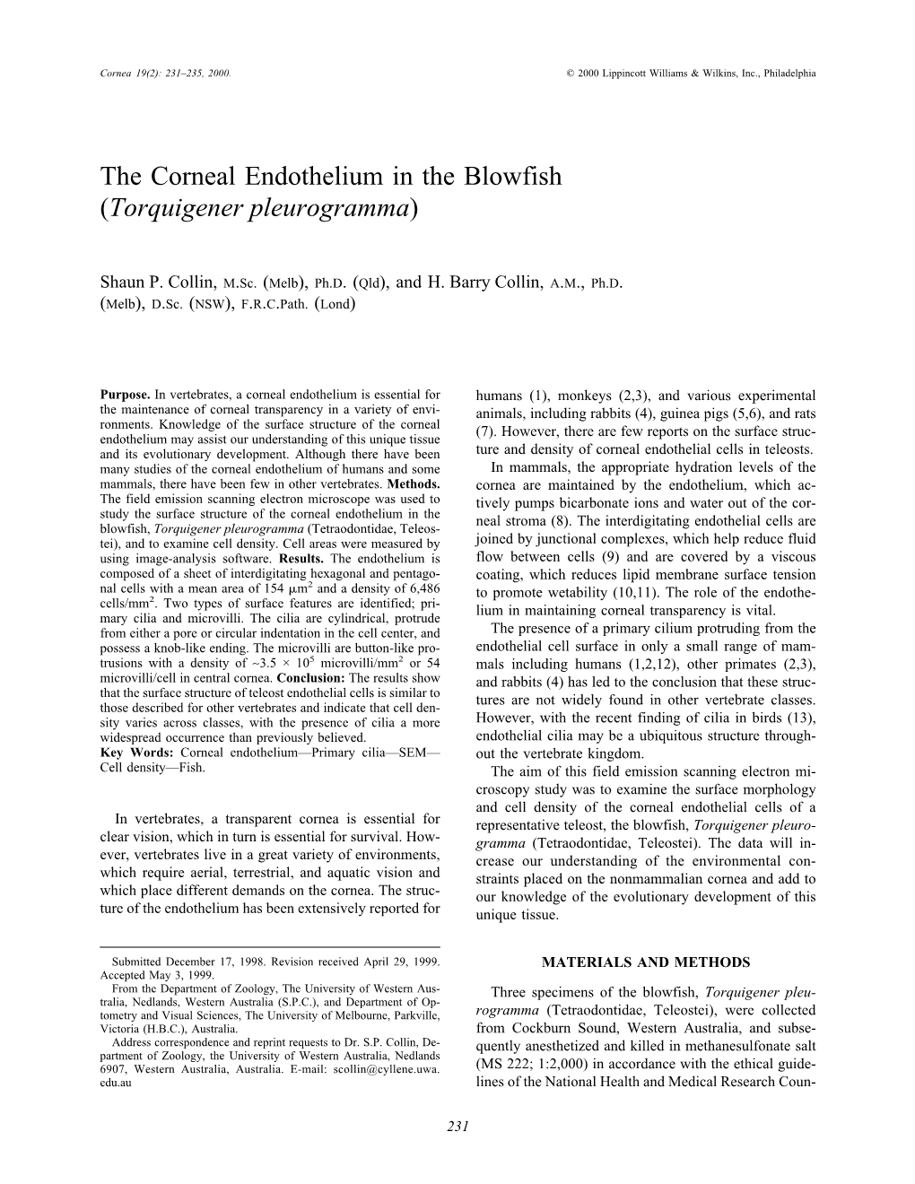 The Corneal Endothelium in the Blowfish (Torquigener Pleurogramma)