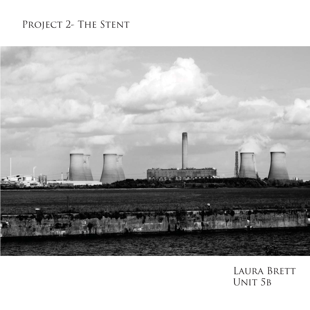 Project 2- the Stent Laura Brett Unit 5B