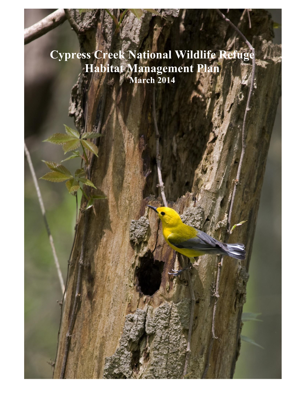 Cypress Creek National Wildlife Refuge Habitat Management Plan March 2014