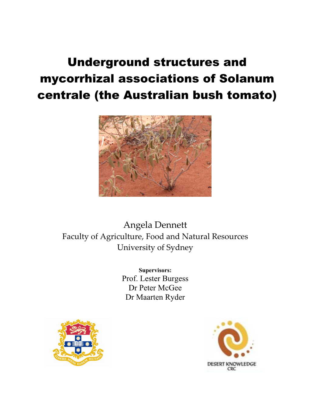 Solanum Centrale (The Australian Bush Tomato)