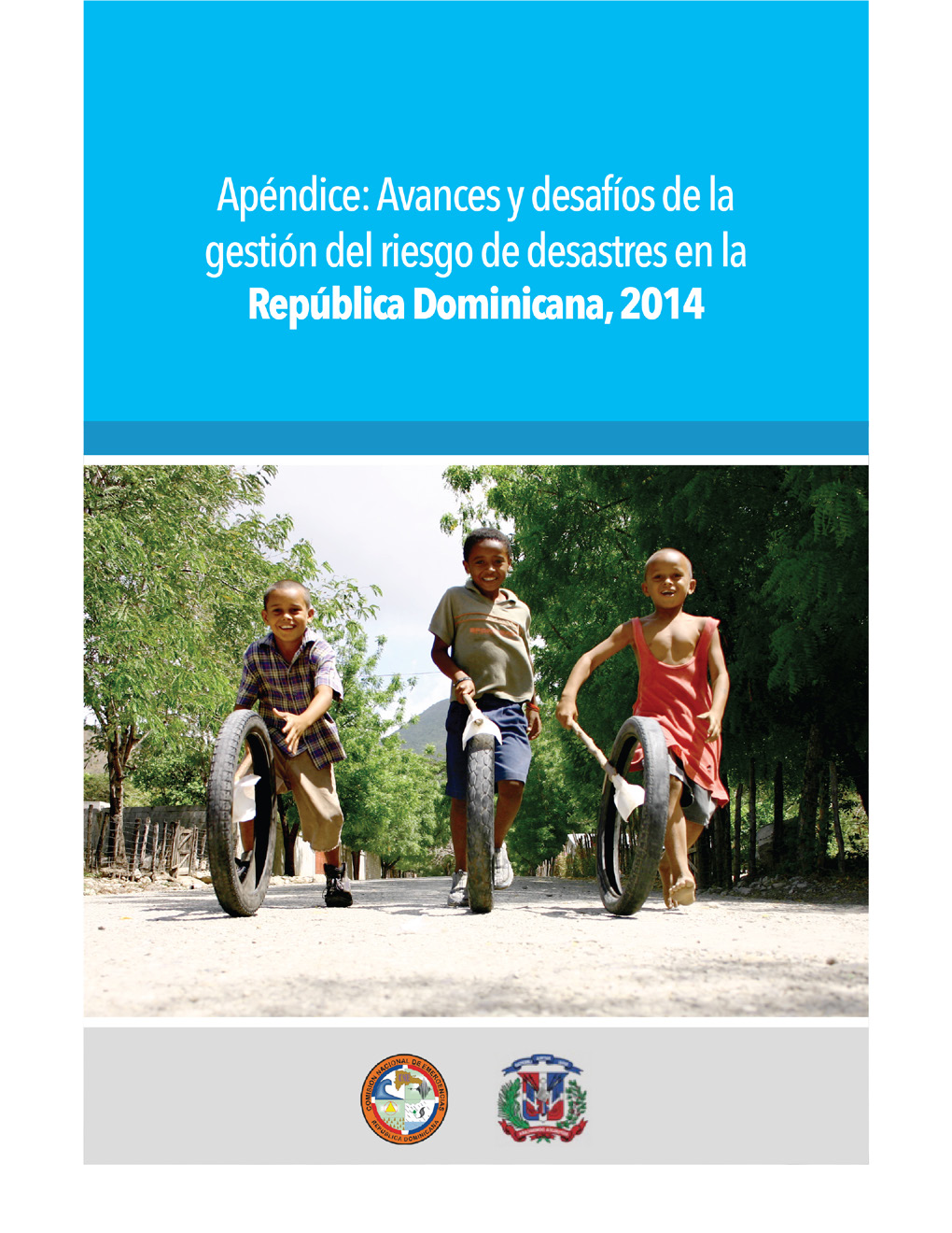 Apéndice: Avances Y Desafíos De La Gestión Del Riesgo De Desastres En La República Dominicana, 2014