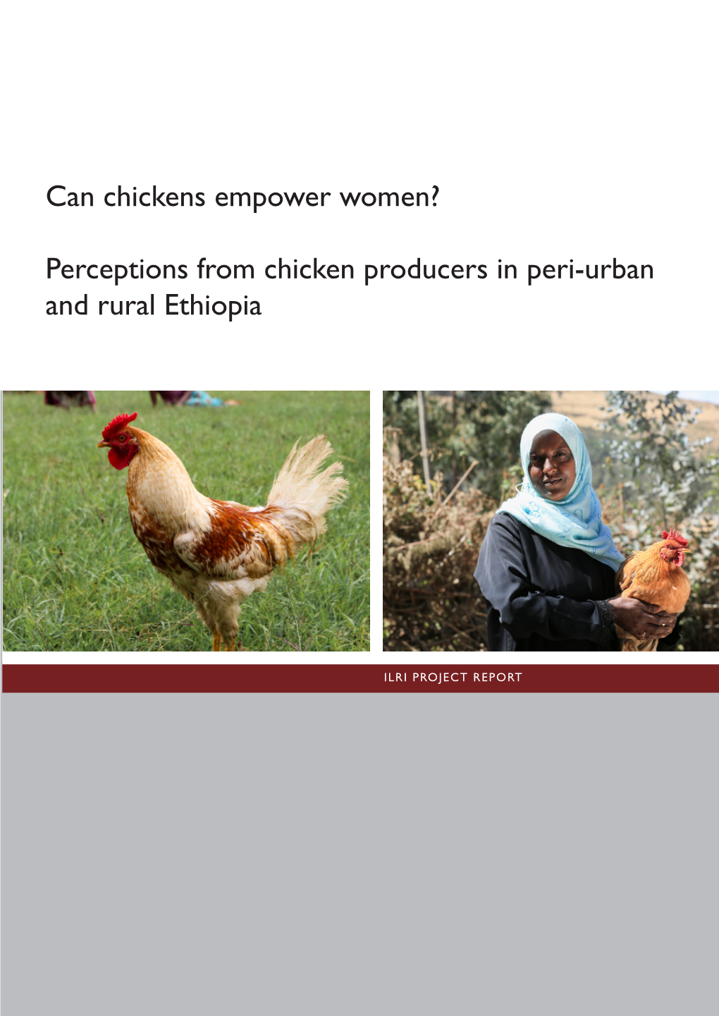 Perceptions from Chicken Producers in Peri-Urban and Rural Ethiopia