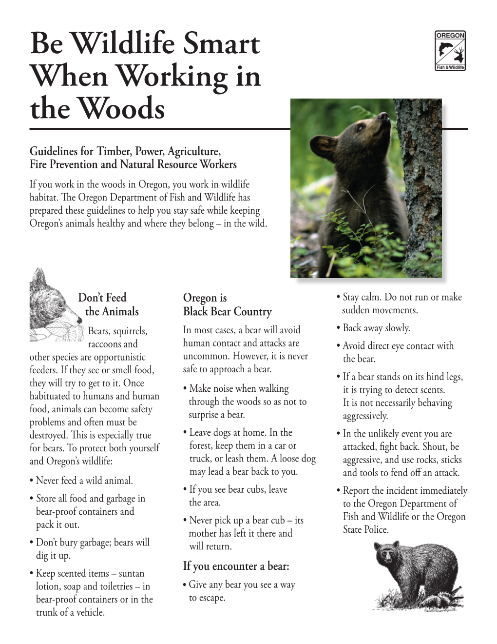 Be Wildlife Smart When Working in the Woods