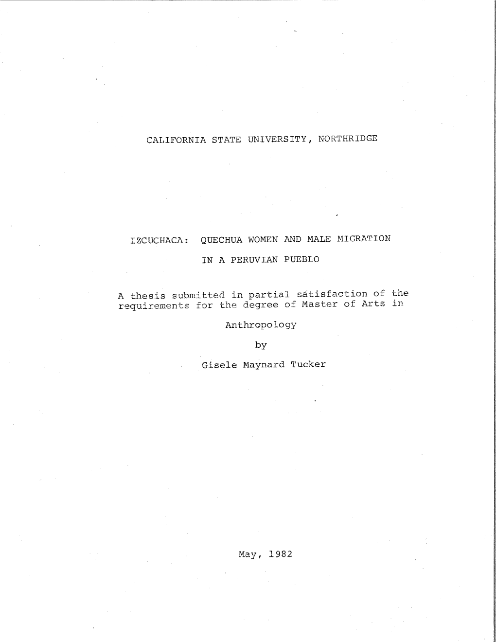 IN a PERUVIAN PUEBLO a Thesis Submitted in Partial S~Tisfaction Of