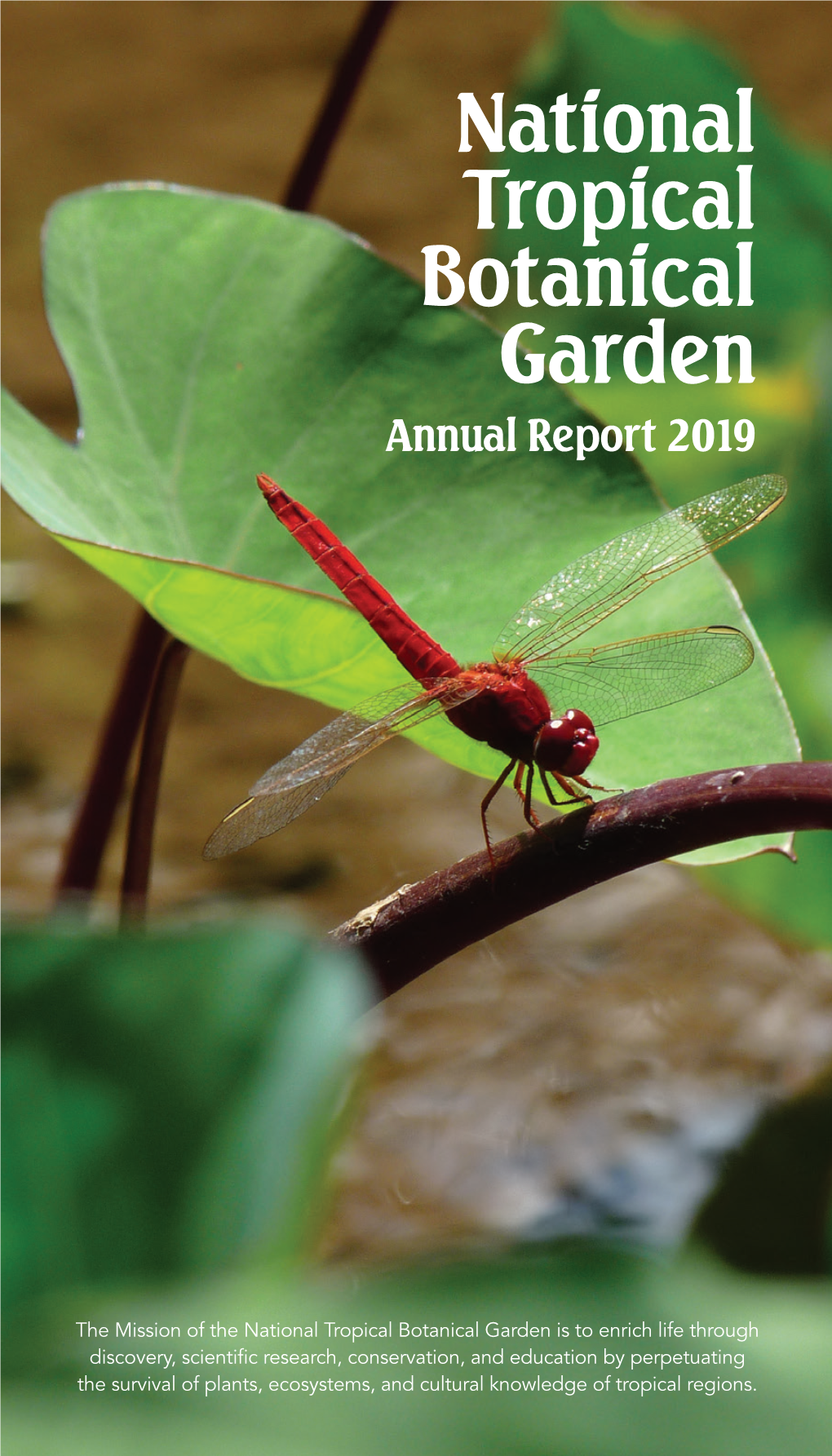 2019 Annual Report