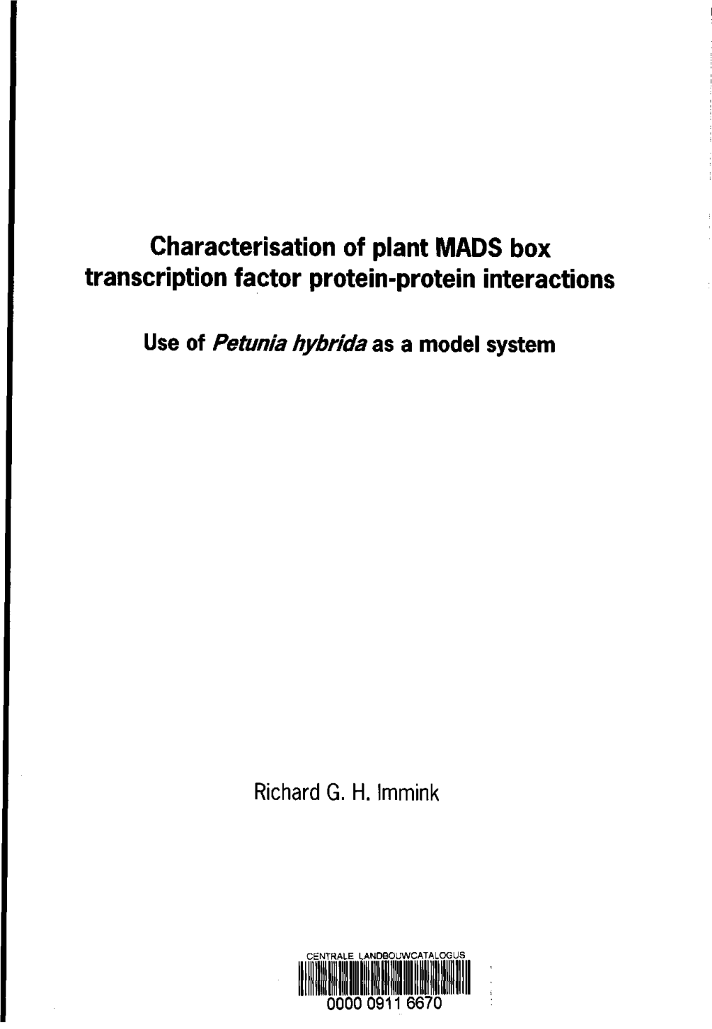 Characterisation of Plant MADS Box Transcription Factor Protein-Protein Interactions