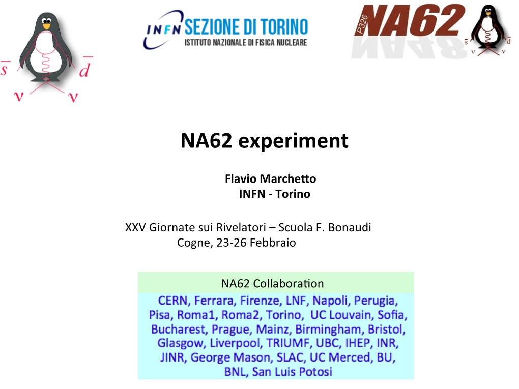 NA62 Experiment