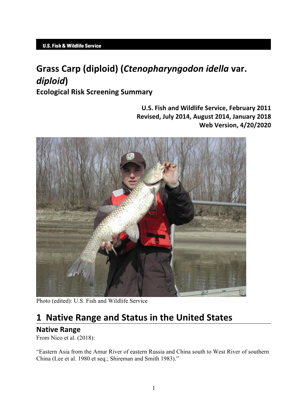 Grass Carp (Diploid) (Ctenopharyngodon Idella Var