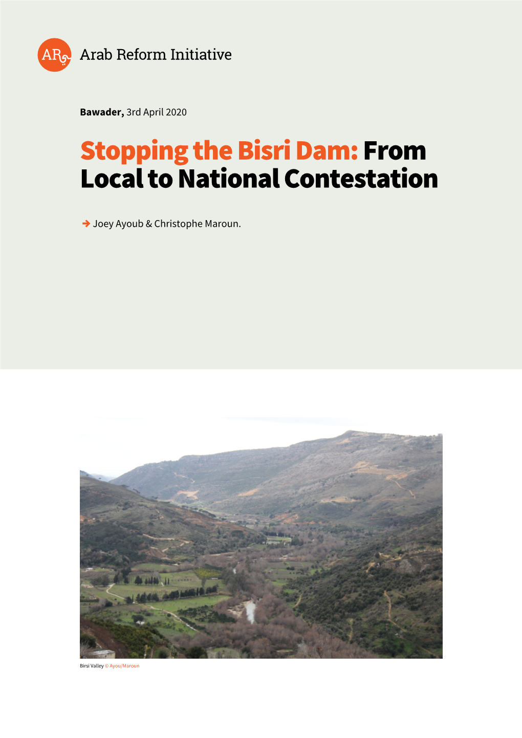 Stopping the Bisri Dam: from Local to National Contestation