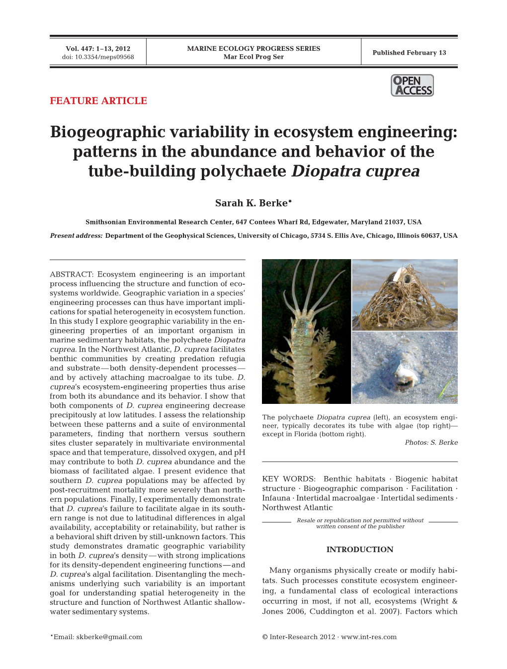 Biogeographic Variability in Ecosystem Engineering: Patterns in the Abundance and Behavior of the Tube-Building Polychaete Diopatra Cuprea