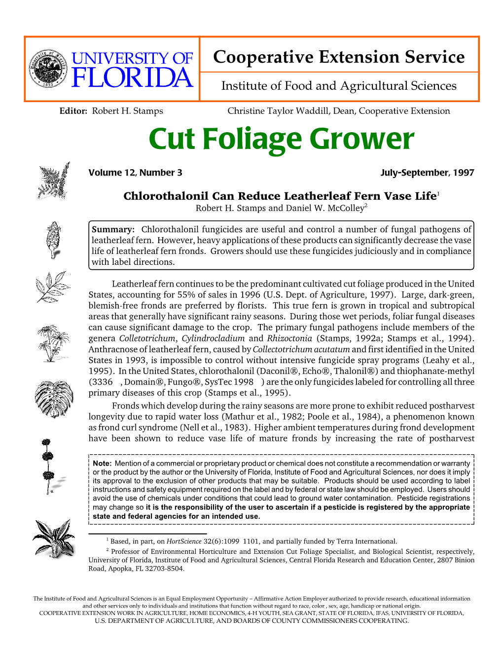 Cut Foliage Grower