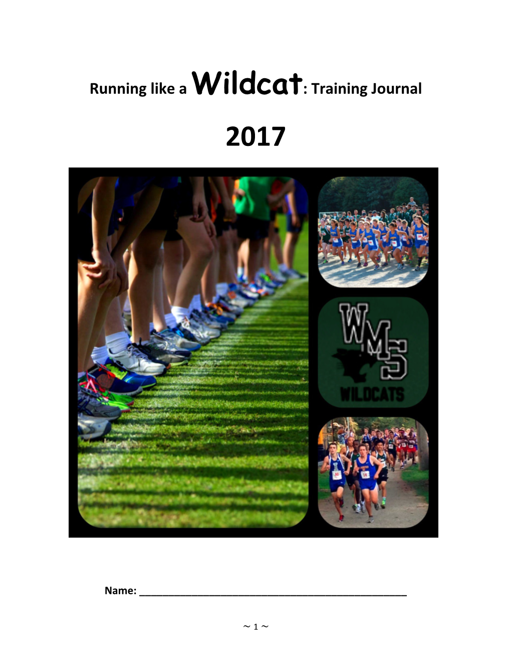 Running Like a Wildcat: Training Journal