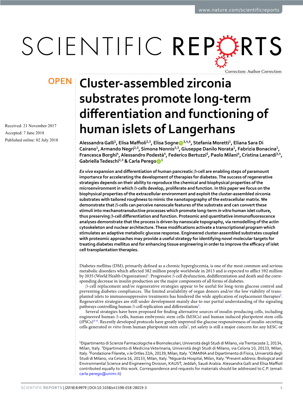 Cluster-Assembled Zirconia Substrates Promote Long-Term Differentiation and Functioning of Human Islets of Langerhans